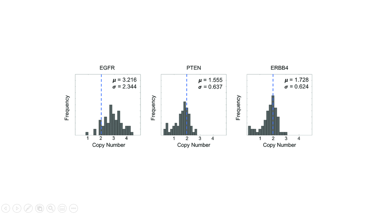 Copy Number of 3 Genes